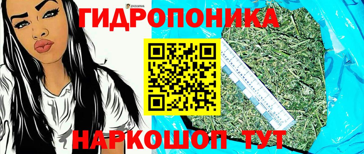 Конопля White Widow  Конопля планчик  Миасс  Конопля конопля  Вход с VPN  Конопля LSD WEED 